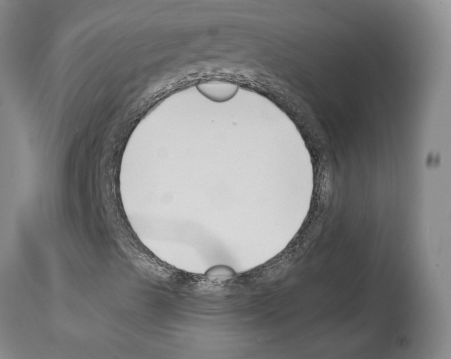 X0000114071489200911161139