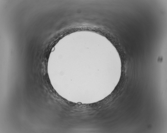 X0000114071493200911161139