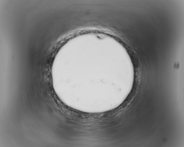 X0000114071494200911161139