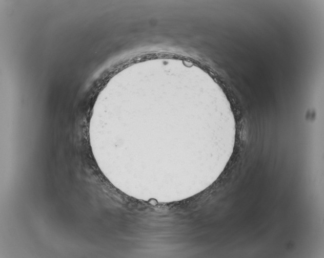 X0000114071495200911161139