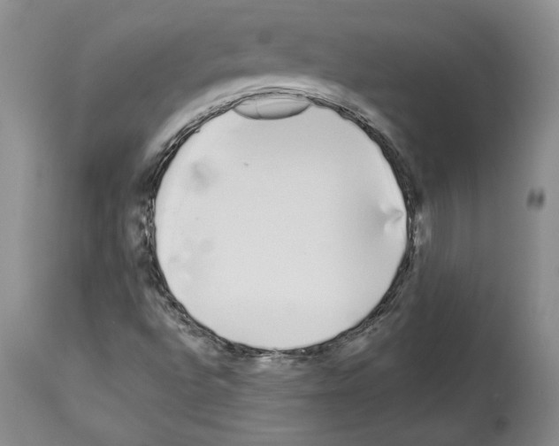 X0000114071496200911161139