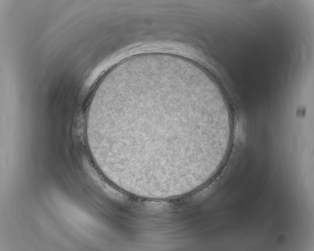 X0000114071498200911161139