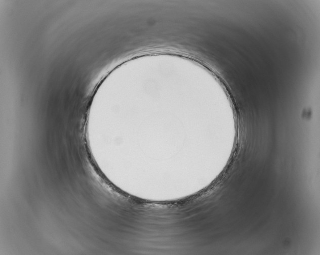 X0000114071500200911161139