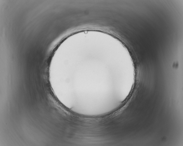 X0000114071502200911161139