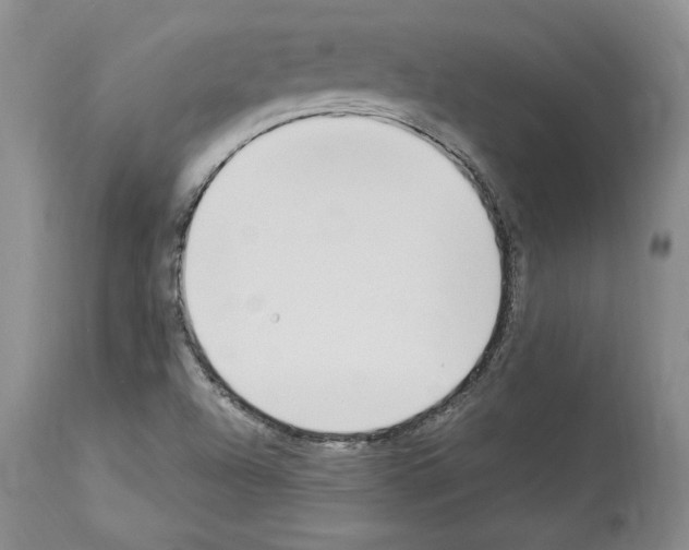 X0000114071504200911161139