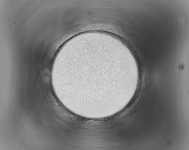 X0000114071505200911161139