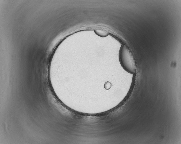 X0000114071506200911161139