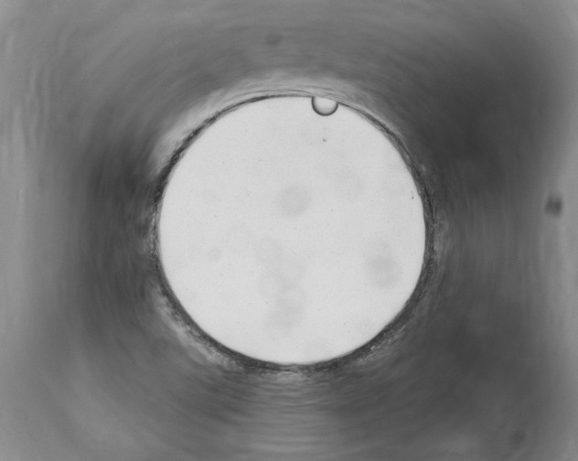 X0000114071507200911161139