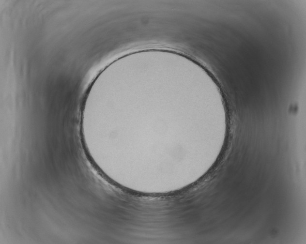 X0000114071508200911161140