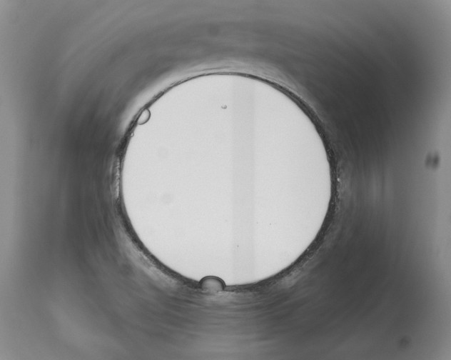 X0000114071510200911161140