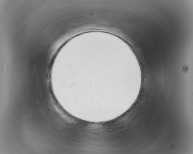 X0000114071511200911161140