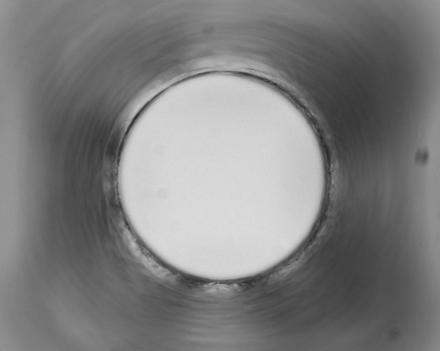 X0000114071513200911161140