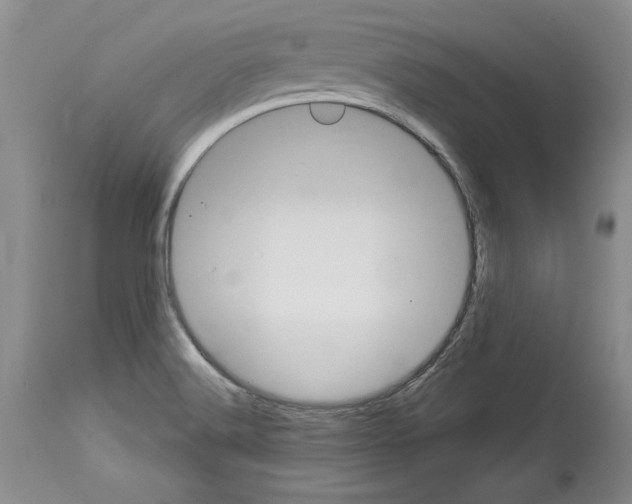 X0000114071516200911161140