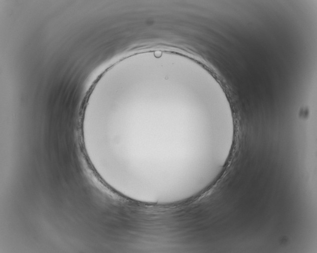 X0000114071518200911161140