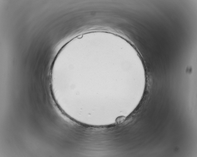 X0000114071519200911161140