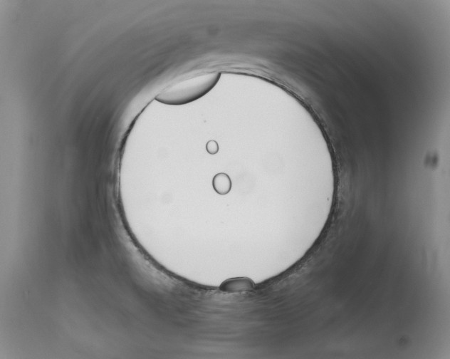 X0000114071520200911161140