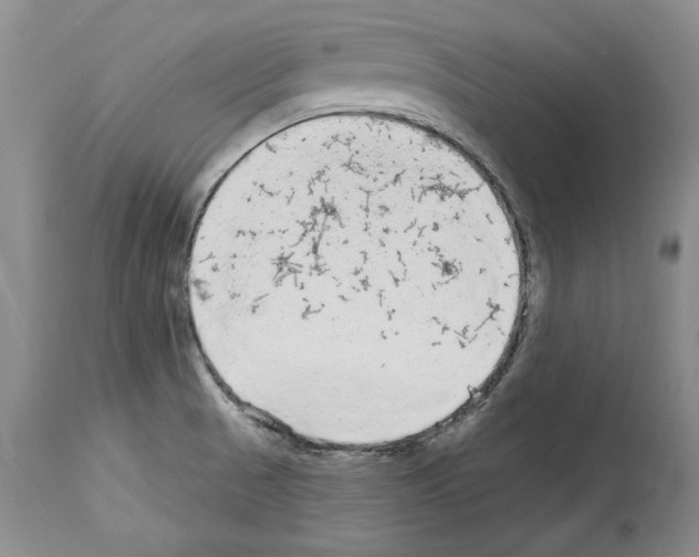 X0000114071521200911161140