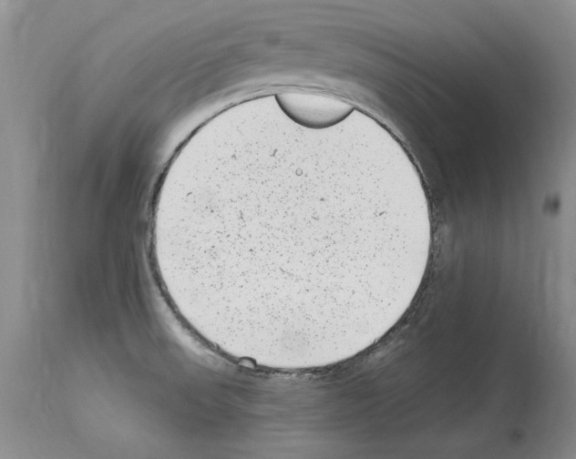 X0000114071523200911161140