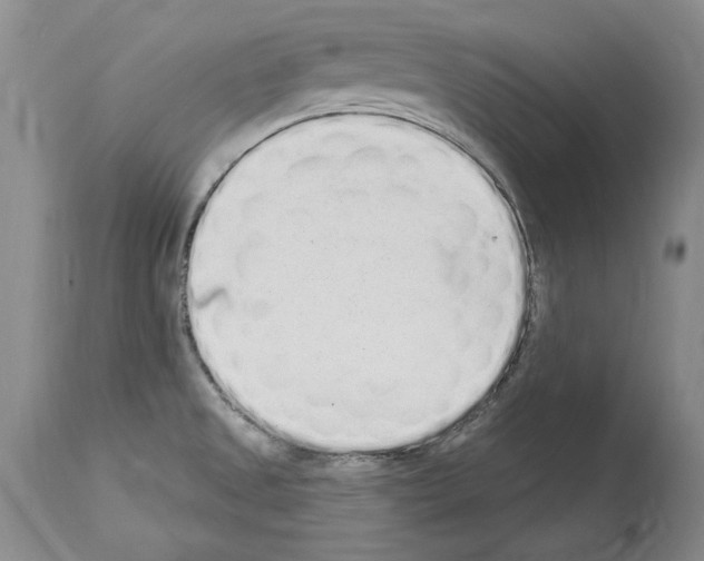 X0000114071525200911161140