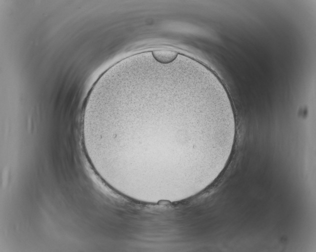 X0000114071526200911161140