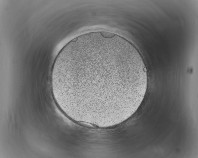 X0000114071527200911161140