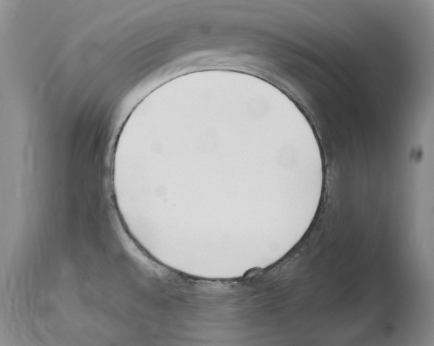 X0000114071528200911161140