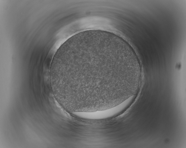 X0000114071529200911161140