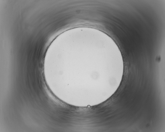 X0000114071531200911161140