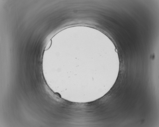 X0000114071532200911161140