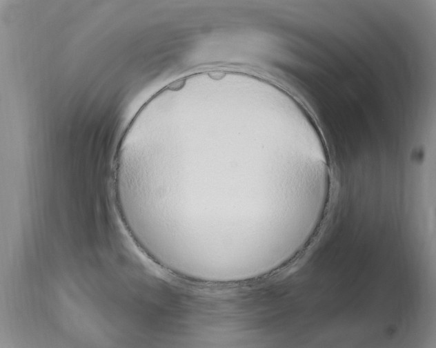 X0000114071533200911161140