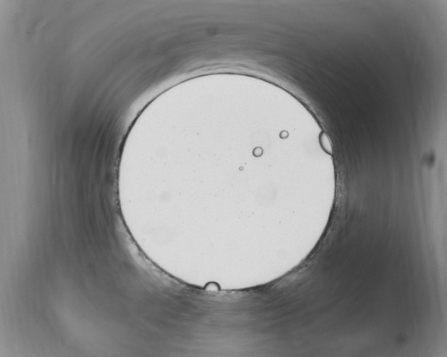 X0000114071534200911161140