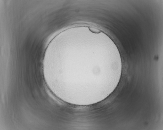 X0000114071535200911161140