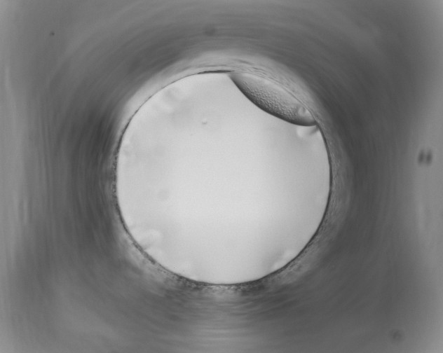 X0000114071536200911161140