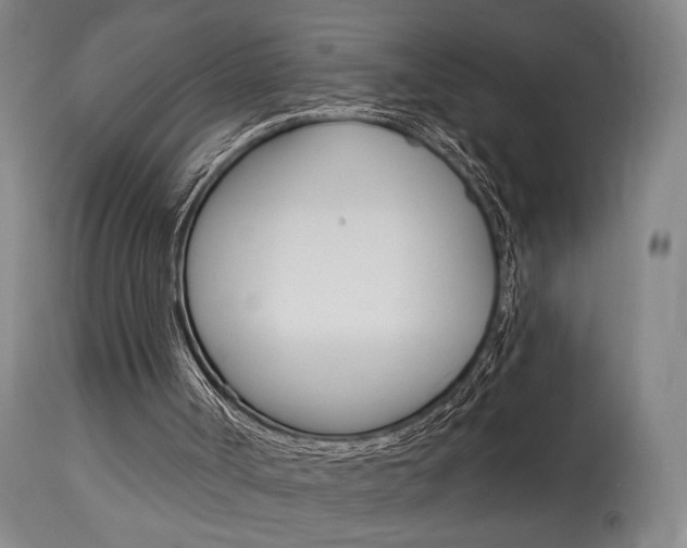 X0000114080002200910051012