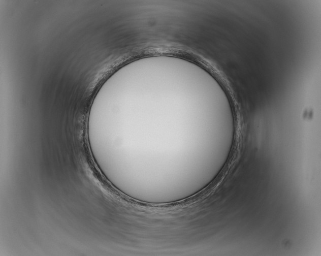 X0000114080010200910051012