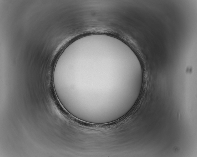 X0000114080012200910051012