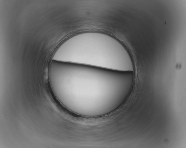 X0000114080021200910051012