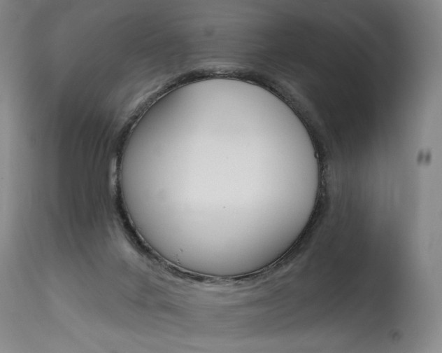 X0000114080024200910051012