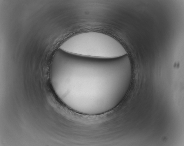 X0000114080031200910051012