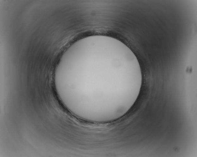 X0000114080032200910051011