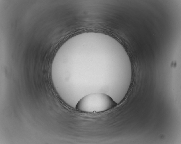 X0000114080033200910051011