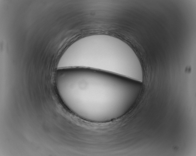 X0000114080035200910051011