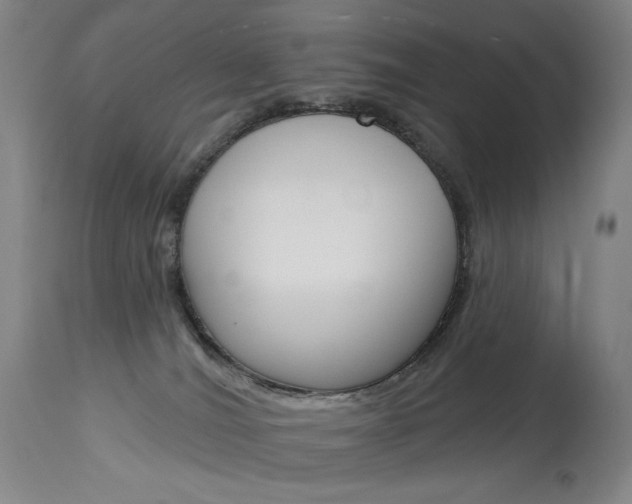 X0000114080036200910051011