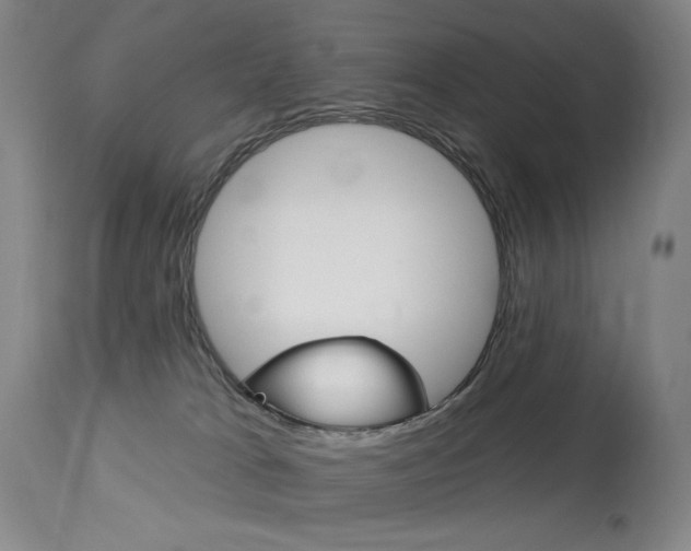 X0000114080037200910051011