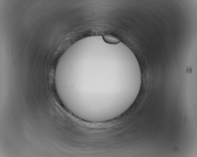 X0000114080038200910051011