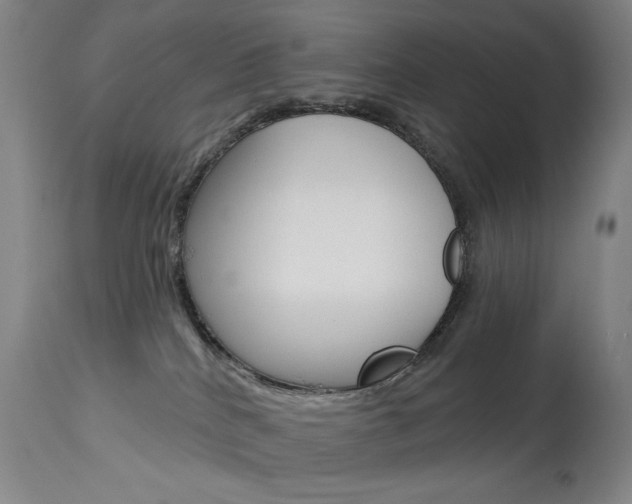 X0000114080040200910051011