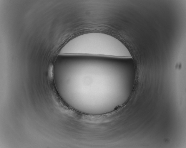 X0000114080041200910051011