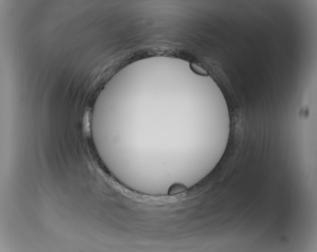 X0000114080042200910051011