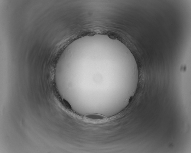 X0000114080043200910051011