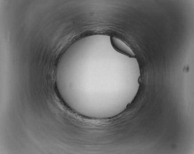 X0000114080044200910051011